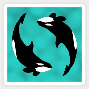 Orca pair with blue background Sticker